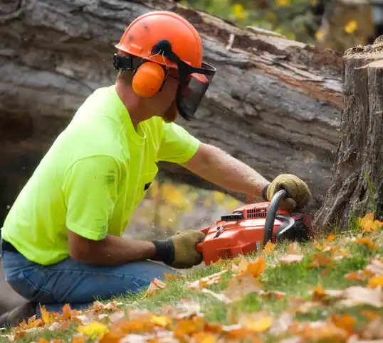 tree services Echelon